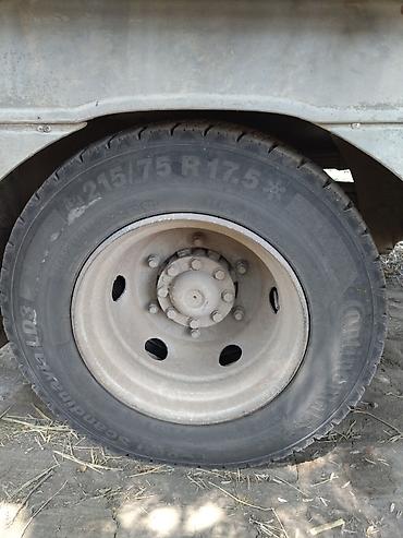 215 65 16 с: Шины Continental для коммерческой техники обмен на 19.5 - Размер — 2