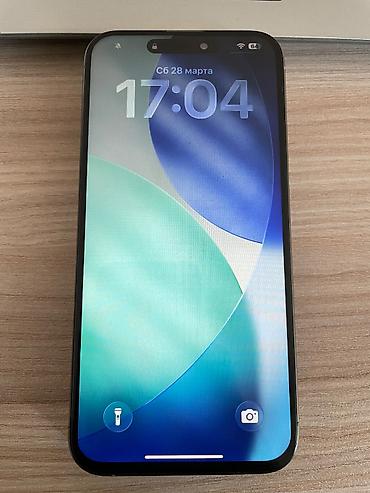 Apple iPhone: IPhone 15 Pro Max — 1