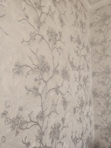 Təmir işləri: Malyar işleri gorurem. padmayak (agdag) ve astar uz emulsiya aboy — 12