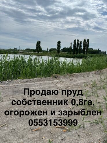 продажа удочек: Красная книга