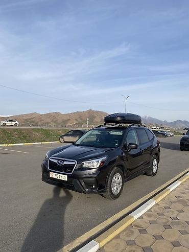 Subaru: Subaru Forester: 2019 г., 2.5 л, Вариатор, Электромобиль, Кроссовер — 19