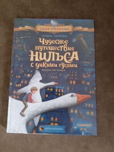 Детские книги: Новая книга в плёнке, подойдёт на подарок, ни разу не пользовались at lalafo.kg Детские книги: Новая книга в плёнке, подойдёт на подарок, ни разу не пользовались