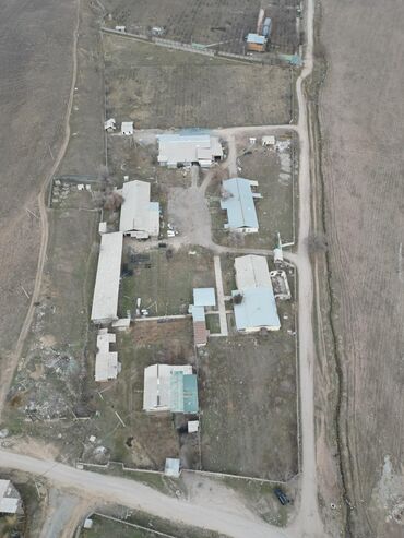 Продажа участков: 290 соток, Красная книга, Тех паспорт, Договор купли-продажи — 4