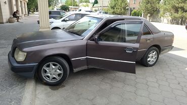 Mercedes-Benz: Mercedes-Benz 220: 1993 г., 2.2 л, Механика, Бензиновая, Седан — 3