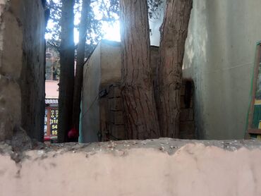 Başqa xidmətlər: Sığorta Agentliyi – kompleks sığorta xidmətləri Təklif olunan — 7