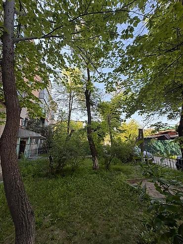 Продажа квартир: 2 комнаты, 46 м², Индивидуалка, 4 этаж, Евроремонт — 12