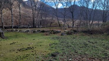 Torpaq sahələrinin satışı: 9 sot, Tikinti, Mülkiyyətçi, Kupça (Çıxarış) — 4