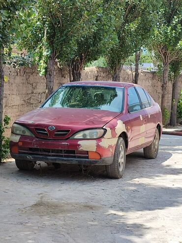 китайский автомобил: Nissan Primera: 2000 г., 1.8 л, Механика, Бензин, Седан