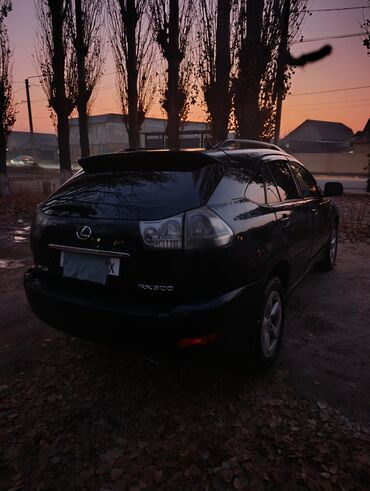 Lexus: Lexus RX: 2003 г., 3 л, Автомат, Бензин, Кроссовер — 9
