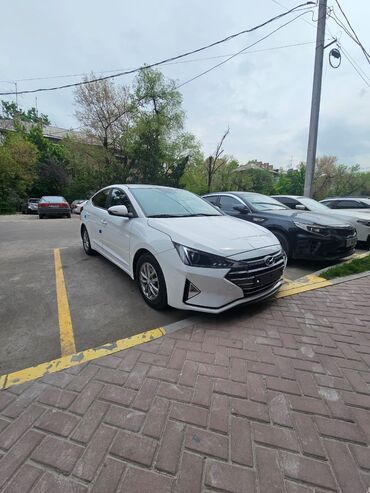 авто в рассрочку без банка без первоначального взноса в бишкеке: Hyundai Avante: 2019 г., 1.4 л, Автоматтык, Газ, Седан