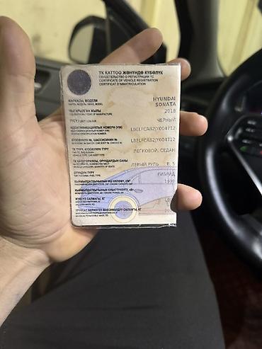 Hyundai: Hyundai Sonata: 2018 г., 2 л, Автомат, Гибрид, Седан — 4