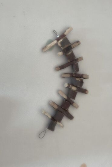 Декоративные кролики: Полный набор для содержания декоративного кролика. В комплекте: - — 13