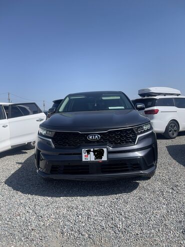 фит 2021: Kia Sorento: 2021 г., 2.5 л, Автомат, Бензин, Внедорожник