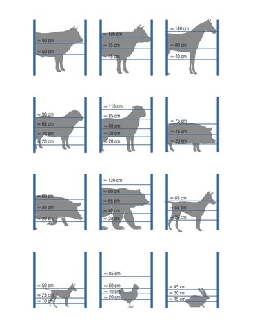 Товары и оборудование для с/х животных: Электро пастух от компании «Техномаш» Турецкого производителя at lalafo.kg — 3 Товары и оборудование для с/х животных: Электро пастух от компании «Техномаш» Турецкого производителя — 3