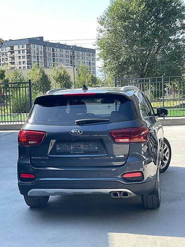 500: Kia Sorento: 2019 г., 2 л, Автомат, Дизель, Кроссовер — 5