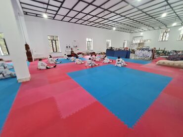 İdman döşəkləri və xalçaları: Tatamiler,rezin yer dowemeleri(geranol),gulew doweyinin — 12