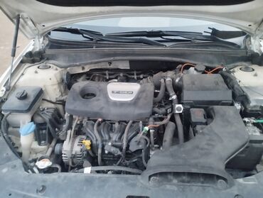 Kia: Kia K5: 2019 г., 1.6 л, Робот, Бензин, Седан — 14