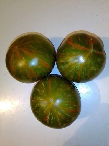 Semena i sadnice: Seme paradajza! Crveni jabučar Žuti jabučar Narandžasti jabučar — 5