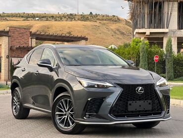 Lexus: Lexus NX: 2022 г., 2.5 л, Автомат, Бензин, Кроссовер