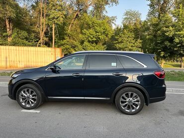 линзы для камеры: Kia Sorento: 2018 г., 2 л, Автомат, Дизель, Внедорожник