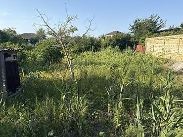 şirvanda torpaq satışı: 8 sot, Tikinti, Kupça (Çıxarış) — 3