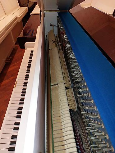 zimmermann: Piano, Zimmermann, Akustik, Yeni, Pulsuz çatdırılma — 3