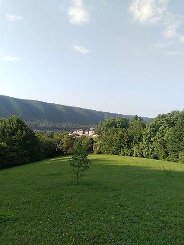 Torpaq sahələrinin satışı: 92 sot, Biznes üçün, Mülkiyyətçi, Kupça (Çıxarış), Bələdiyyə, Müqavilə — 24