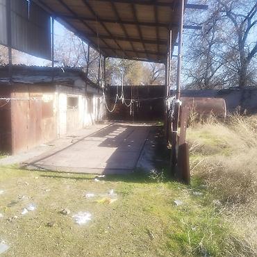 Кыймылсыз мүлк: 53 соток, Бизнес үчүн, Кызыл китеп, Техпаспорт, Сатып алуу-сатуу келишими — 4