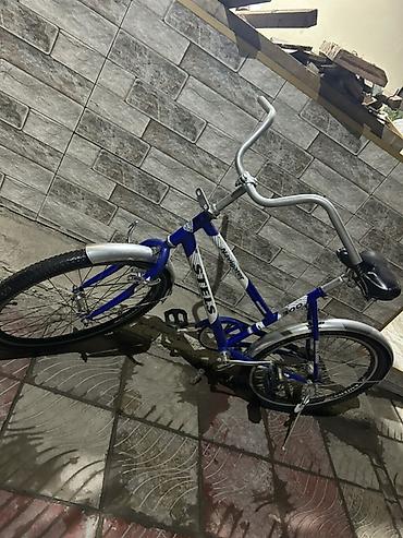 3 tekerli velosiped type 1: Velosiped – STEELS Navigator 300 Special Edition - Tip: Şəhər/kruizer — 3