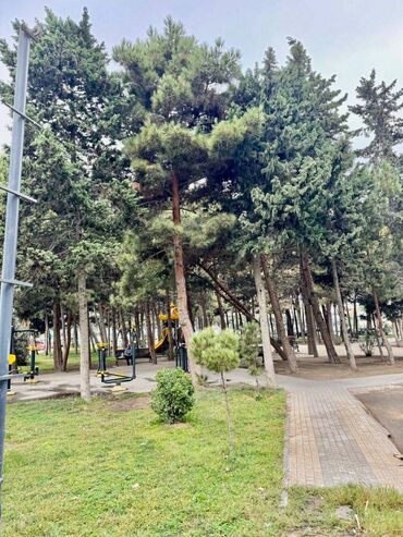 Köhnə tikili: Bakı, 1 otaqlı, Köhnə tikili, m. Həzi Aslanov, 40 kv. m -da lalafo.az — 17 Köhnə tikili: Bakı, 1 otaqlı, Köhnə tikili, m. Həzi Aslanov, 40 kv. m — 17