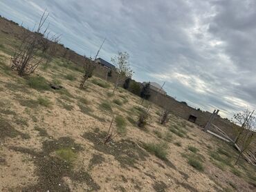 Bağ evlərinin satışı: Bakı, Zirə qəs., 90 kv. m, 2 otaqlı, Hovuzsuz, Kombi, Qaz, İşıq — 8