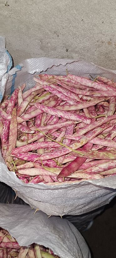 Quru meyvələr: Lobya xaçmazda özümüz əkmişik. Kilo 1.80