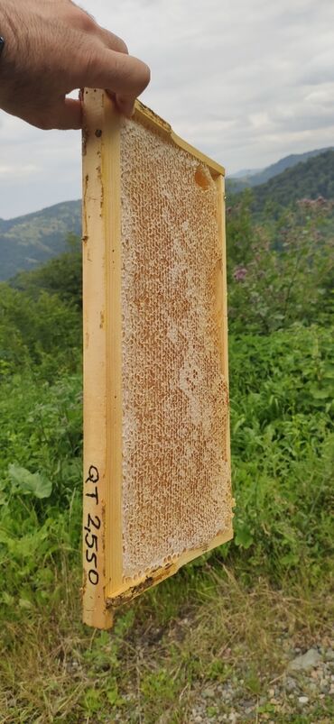 Bal: Elf bee's 1977 eco product for health and longevity tovuzun -da lalafo.az — 10 Bal: Elf bee's 1977 eco product for health and longevity tovuzun — 10