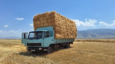 Грузовики: Грузовик, Mercedes-Benz, Стандарт, 7 т, Б/у