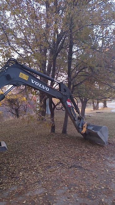 Услуги экскаватора: Экскаватор | Выкорчевывание пней — 14