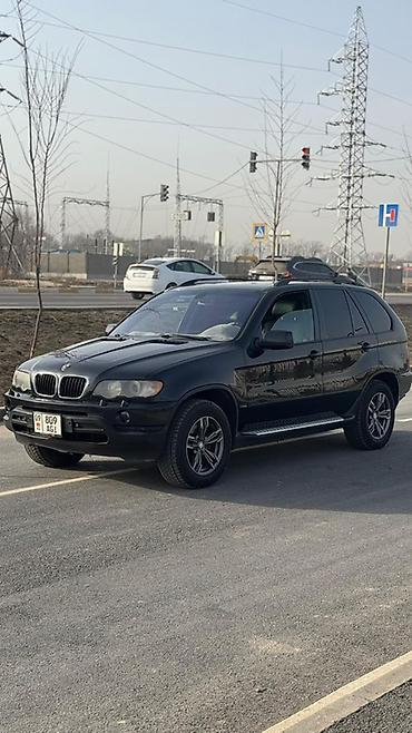 BMW: BMW X5: 2002 г., 3 л, Автомат, Дизель, Кроссовер — 14
