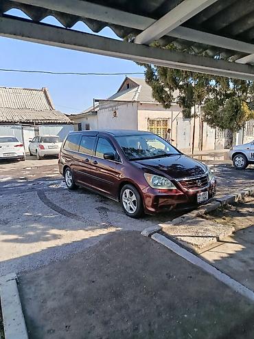 кия карнивал 201: Honda Odyssey: 2008 г., 3.5 л, Автомат, Бензин, Минивэн — 1