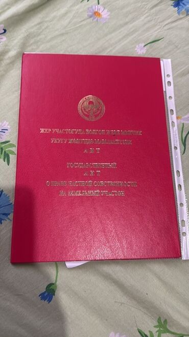 дом ковров бишкек: 8 соток жер сатылат срочно.Ысык Колдун Чырпыкты деген жеринен,жакшы