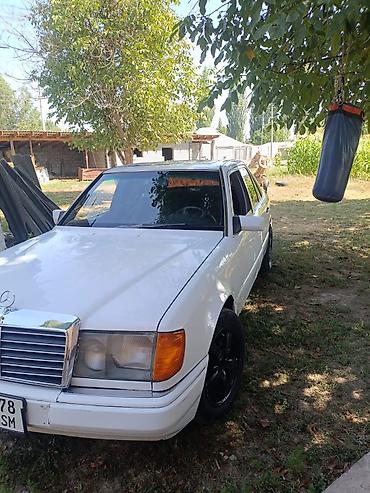 w124 e220: Mercedes-Benz W124: 1992 г., 2.9 л, Автомат, Дизель, Седан — 6