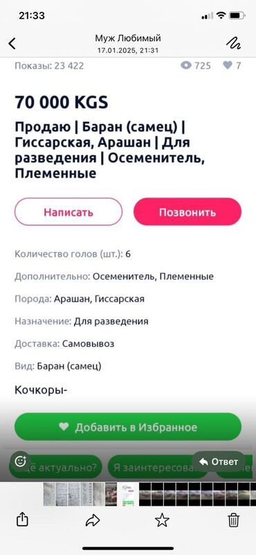 Бараны, овцы: Продаю | Баран (самец) | Арашан | Для разведения | Племенные