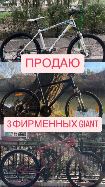 Горные велосипеды: Горный велосипед, Giant, Рама M (156 - 178 см), Алюминий, Б/у