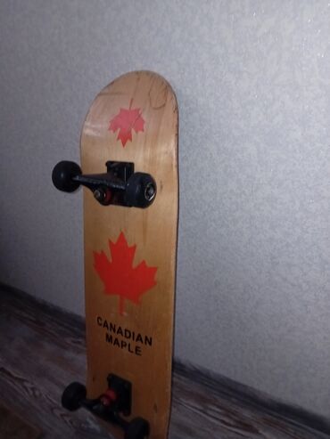 Информатика: Skateboard – Canadian Maple original Canadian maple di uzerindeki