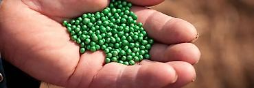 Свёкла: 10+1 акция срочно Семена Сахарной свеклы компании Beta Seed 2025 — 14