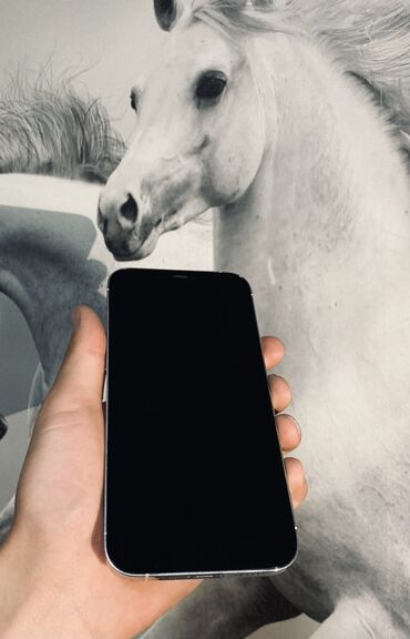 Apple iPhone: IPhone 12 Pro Max, Б/у, 256 ГБ, Белый, Чехол, 77 %