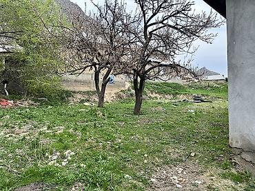 Продажа коттеджей и домов: Кенеште, 218 кварталда пмкада, 8 сотик жер, курулган 4 комнат уйу — 14