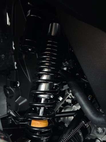 Квадроциклы: Квадроцикл Бензин, 1000 куб. см, Взрослый — 9