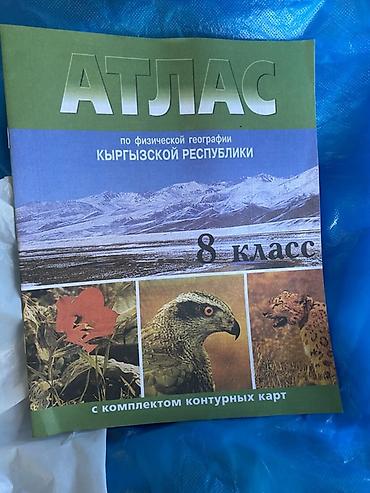 Другие учебники: Учебные материалы для младших школьников (набор): 1) Книга‑тренажёр — 13