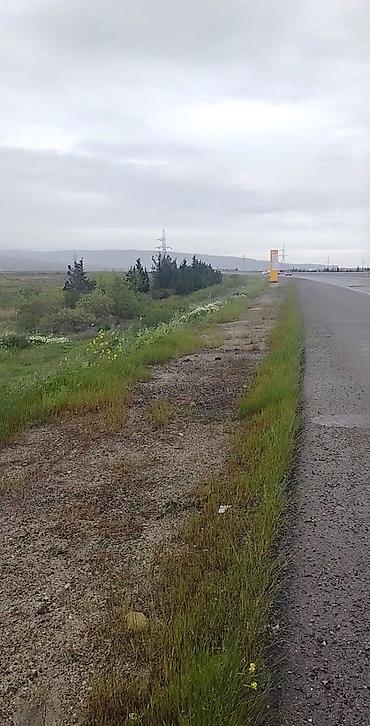 1 комнатная квартира снять: 337 соток, Для бизнеса, Собственник, Купчая — 1