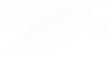 Auto delovi: BOSCH filter goriva, model . Ovaj beli, providni filter cilindričnog — 8