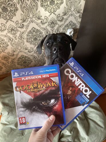 PS4 (Sony PlayStation 4): PS4 PS5 GOD OF WAR REMASTERED CONTROL PS EXCLUSIVE God of war 1400